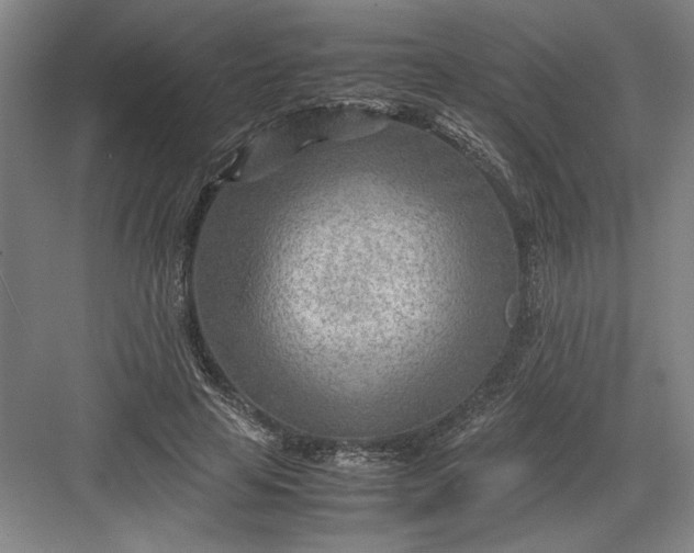 X0000082950641200702152241