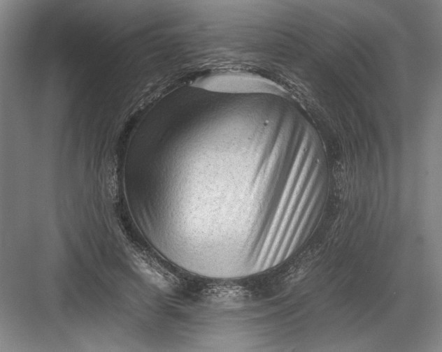 X0000082950642200702152241