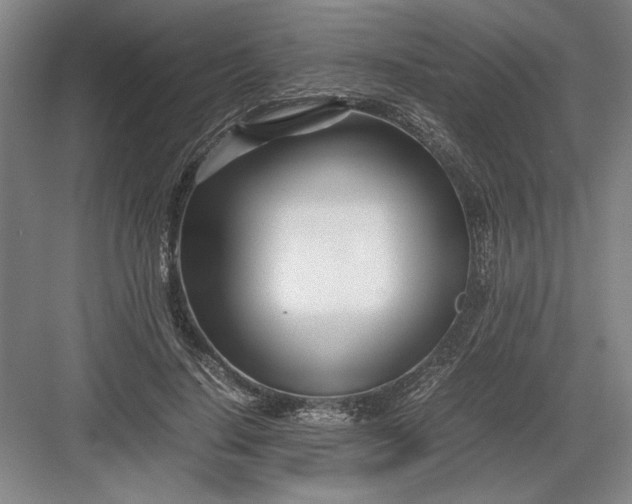 X0000082950644200702152241