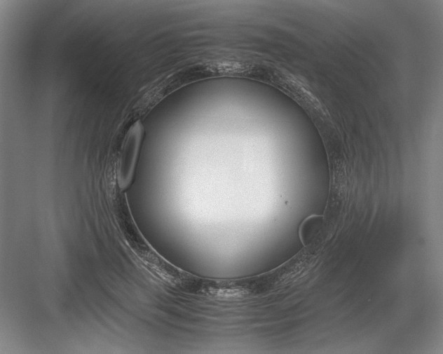 X0000082950645200702152241