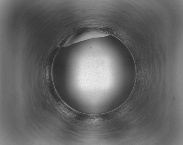 X0000082950646200702152241