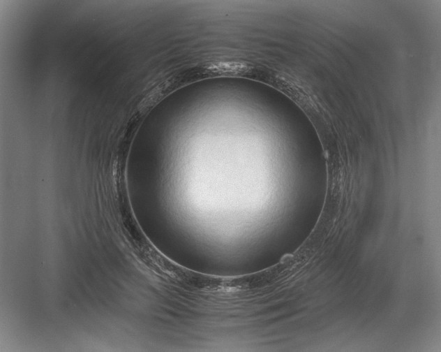 X0000082950647200702152241