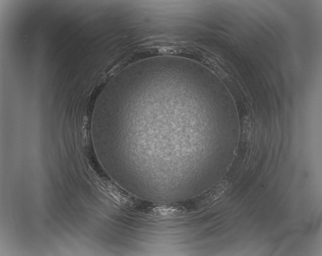 X0000082950650200702152241