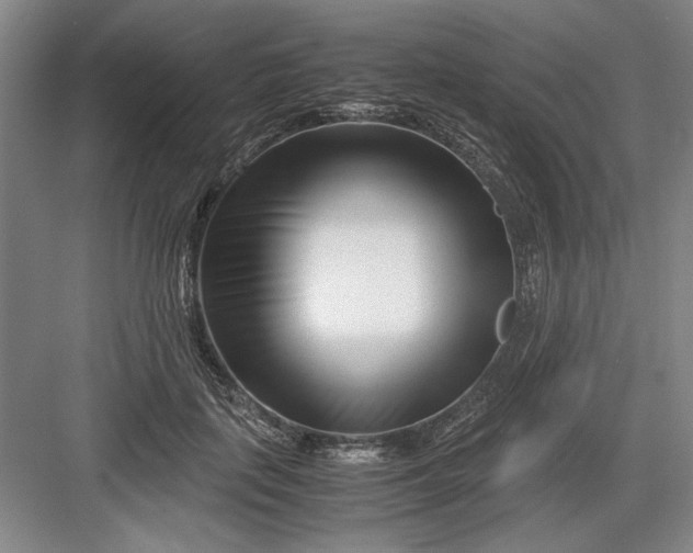 X0000082950651200702152241