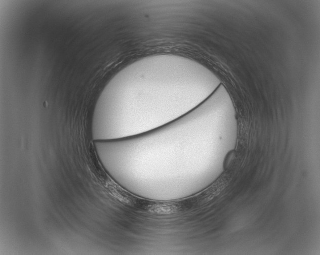 X0000082950652200702152241