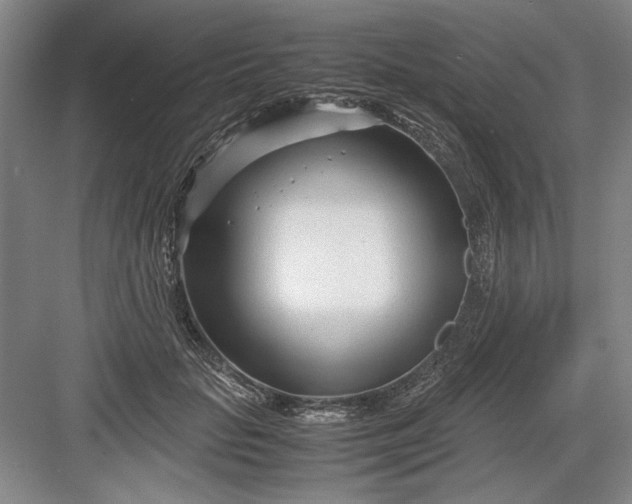 X0000082950653200702152241