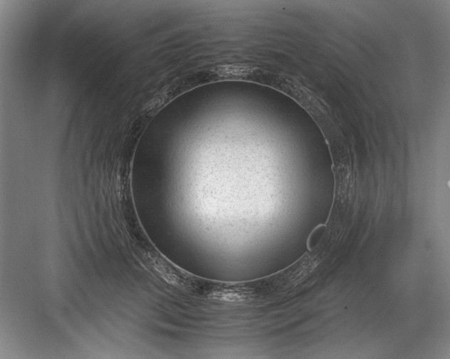 X0000082950655200702152241