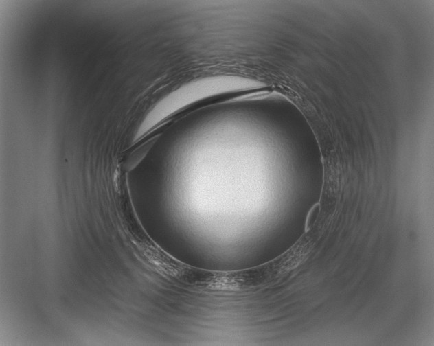 X0000082950656200702152241