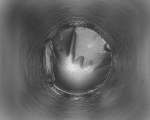 X0000082950657200702152241