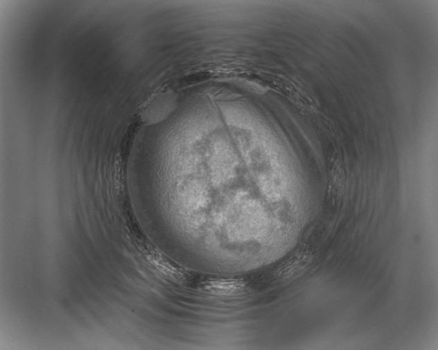 X0000082950659200702152241