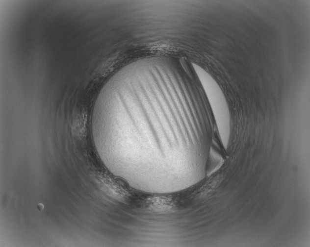 X0000082950660200702152241