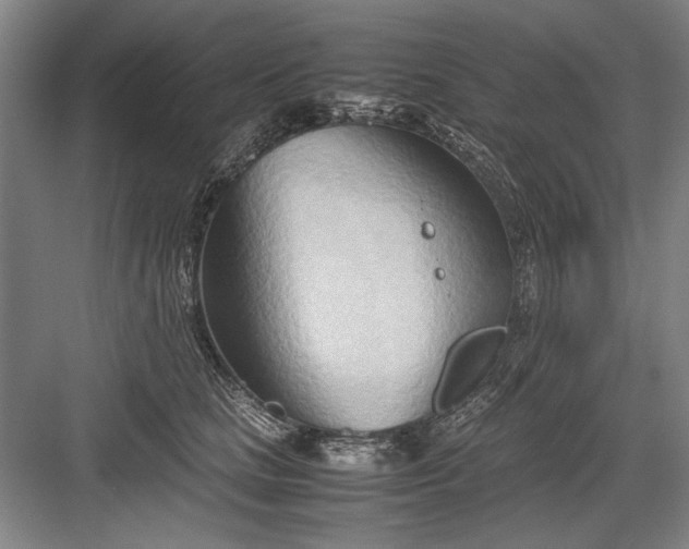 X0000082950661200702152241