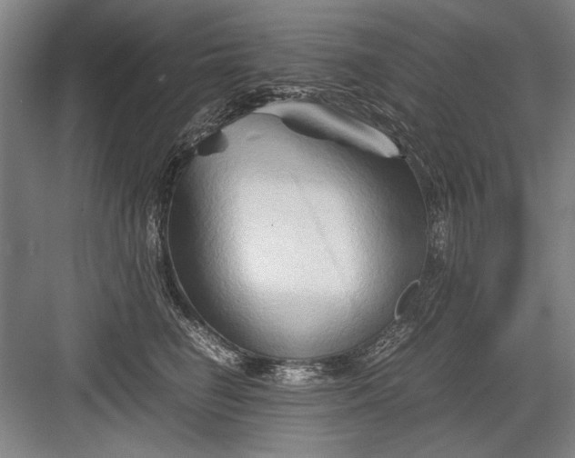 X0000082950662200702152241