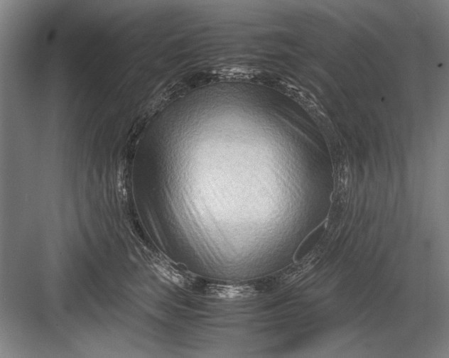 X0000082950663200702152241