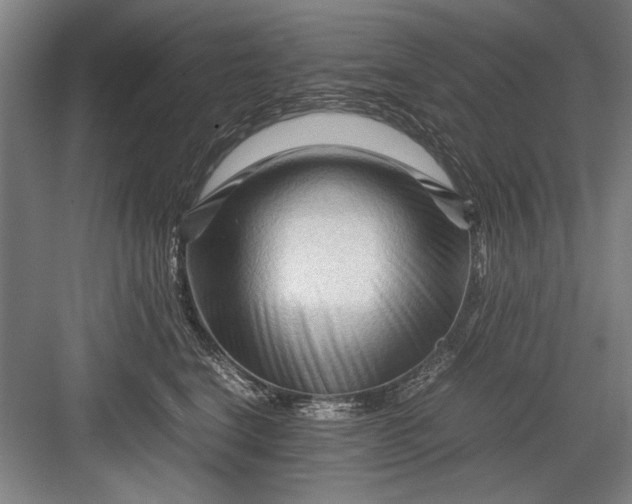 X0000082950664200702152241