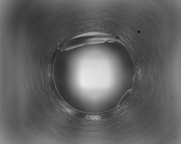 X0000082950665200702152241