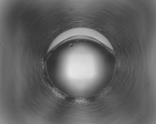 X0000082950666200702152241