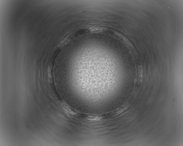 X0000082950667200702152241