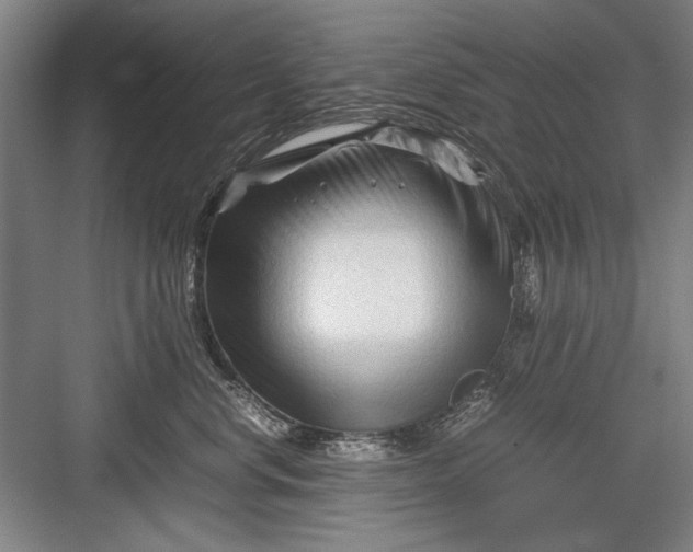 X0000082950668200702152241