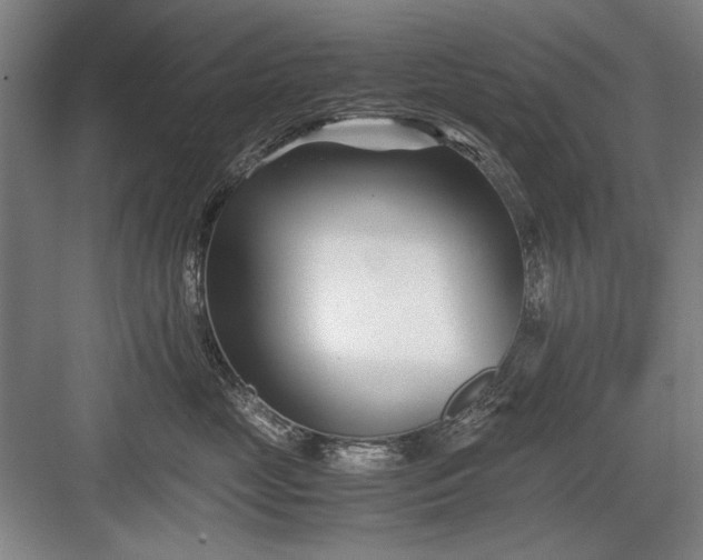 X0000082950669200702152241