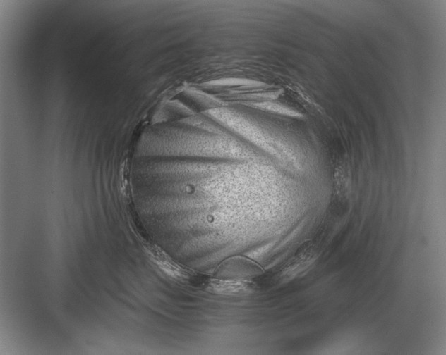 X0000082950671200702152241