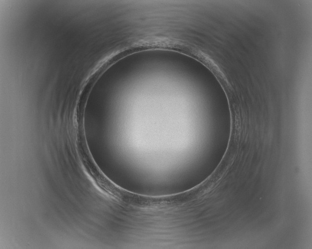 X0000082950674200702152240