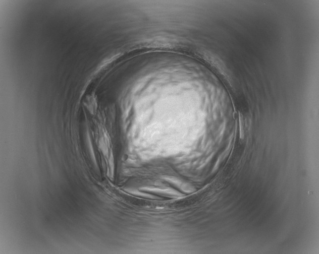 X0000082950675200702152240