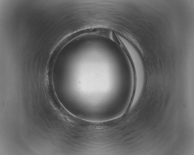 X0000082950676200702152240