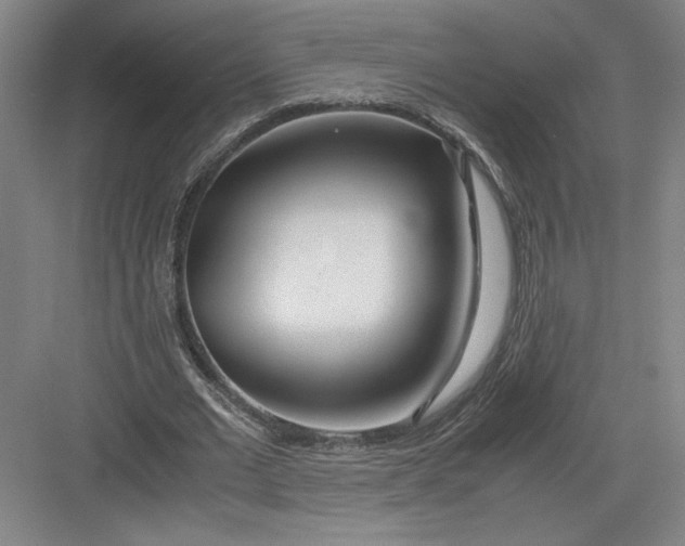 X0000082950677200702152240