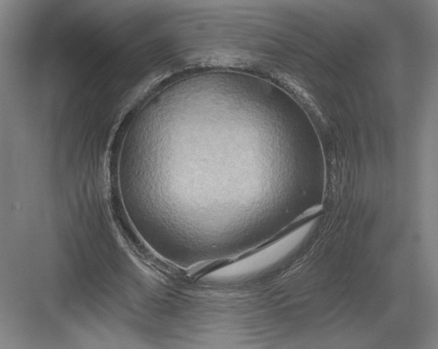 X0000082950678200702152240