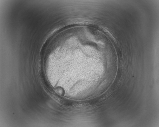 X0000082950679200702152240