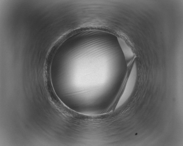 X0000082950680200702152240