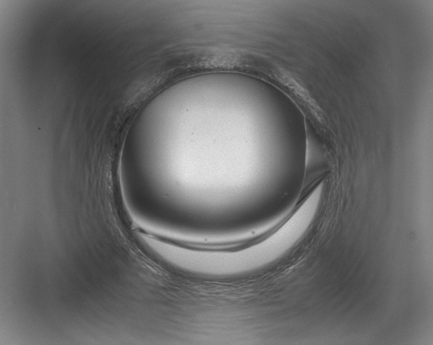 X0000082950681200702152240