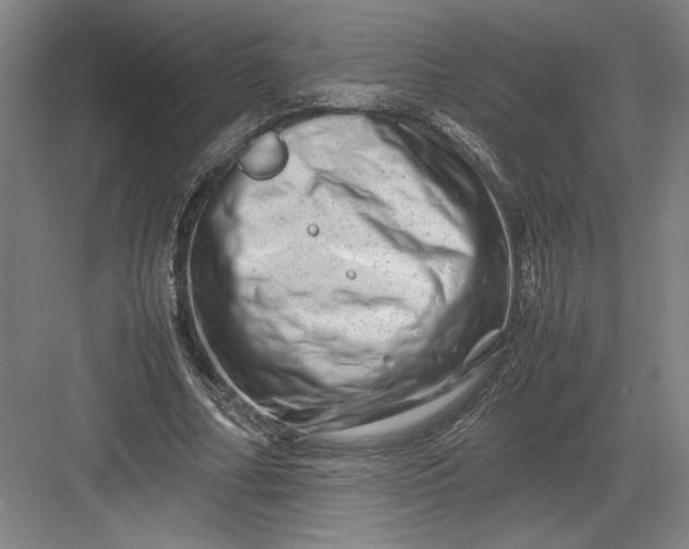 X0000082950682200702152240