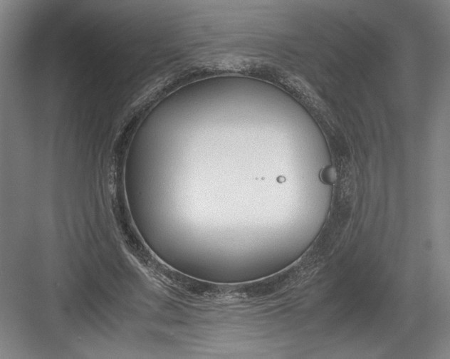 X0000082950683200702152240