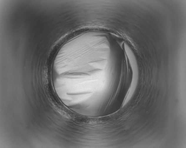 X0000082950684200702152240