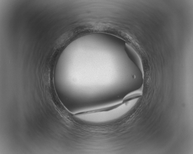 X0000082950685200702152240