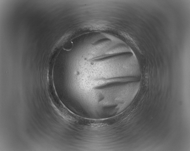 X0000082950686200702152240