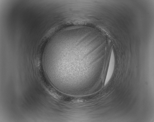 X0000082950687200702152240