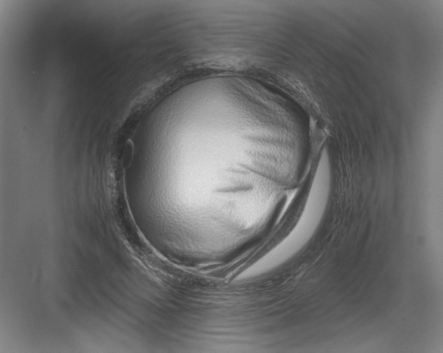 X0000082950688200702152240