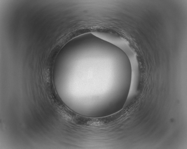 X0000082950689200702152240