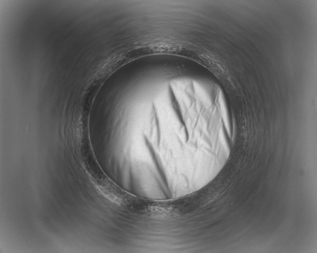 X0000082950690200702152240