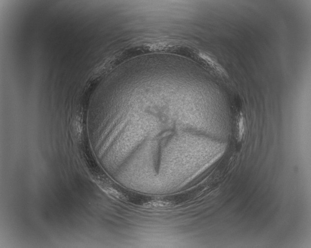 X0000082950691200702152240