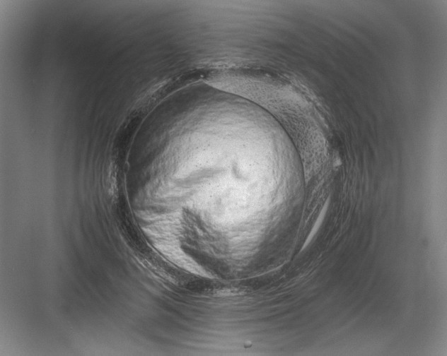 X0000082950692200702152240