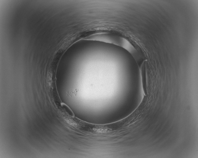 X0000082950693200702152240