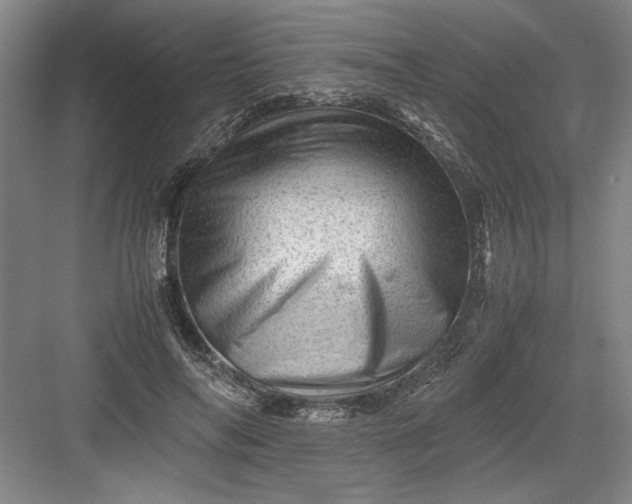 X0000082950694200702152240