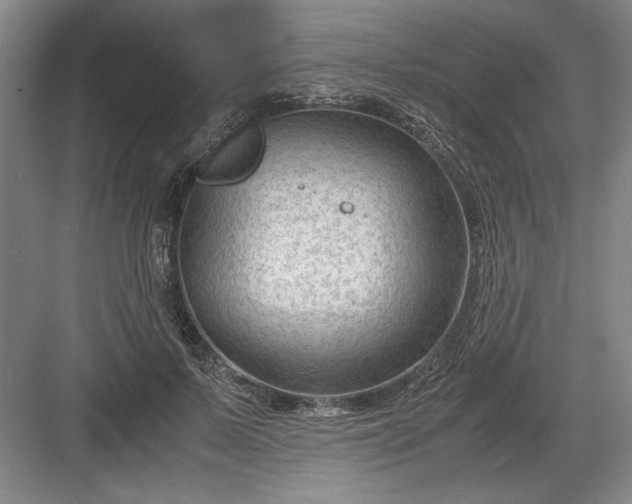 X0000082950695200702152240