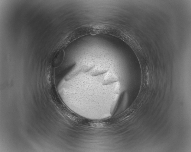 X0000082950698200702152240