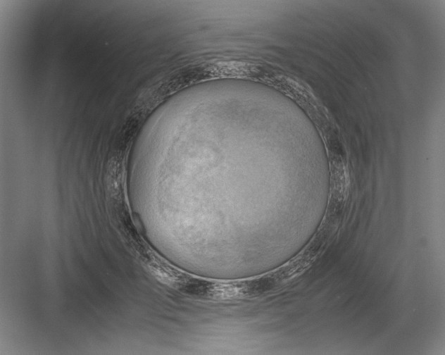 X0000082950701200702152240