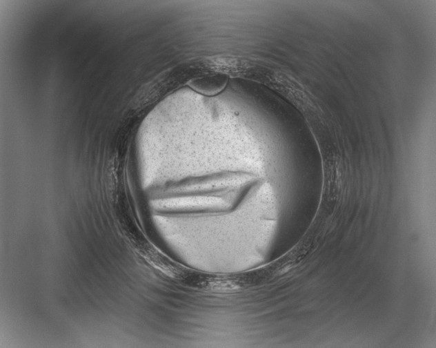 X0000082950702200702152240